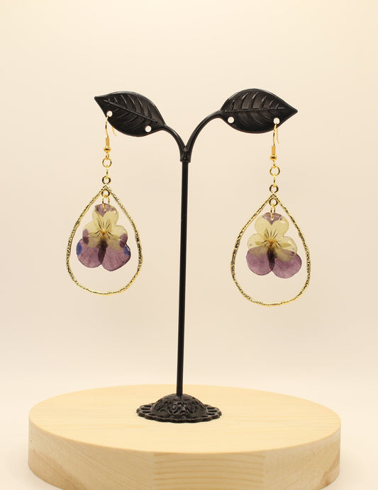 Purple and White Peony