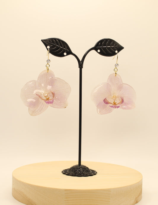 Small White Orchid