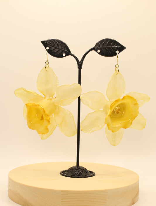 Yellow Daffodil